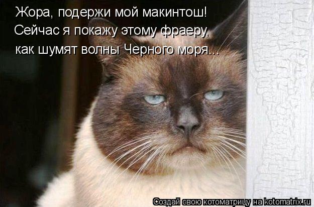 Котоматрица: Жора, подержи мой макинтош! Сейчас я покажу этому фраеру,  как шумят волны Черного моря...