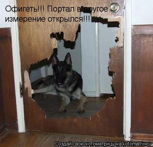Котоматрица: Офигеть!!! Портал в другое измерение открылся!!!