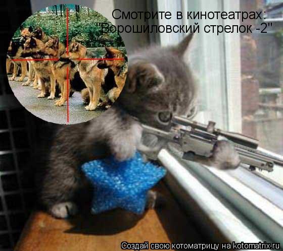 Котоматрица: Смотрите в кинотеатрах: "Ворошиловский стрелок -2"