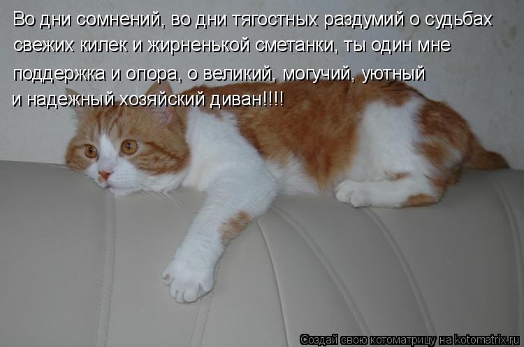 Котоматрица: Во дни сомнений, во дни тягостных раздумий о судьбах свежих килек и жирненькой сметанки, ты один мне  поддержка и опора, о великий, могучий, у