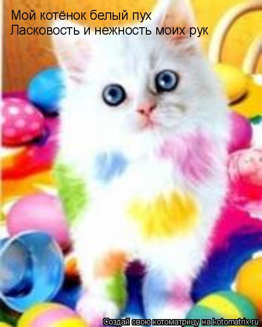 Котоматрица: Мой котёнок белый пух Ласковость и нежность моих рук