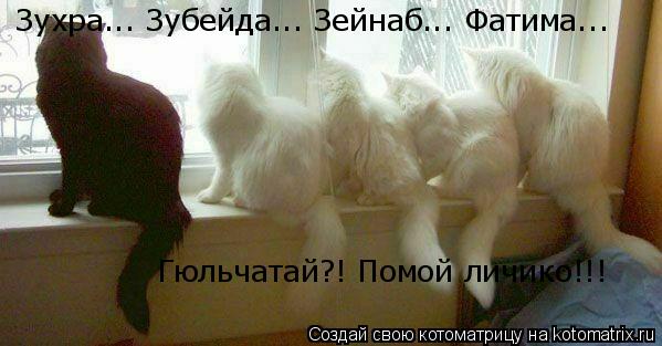 Котоматрица: Зухра... Зубейда... Зейнаб... Фатима... Гюльчатай?! Помой личико!!!