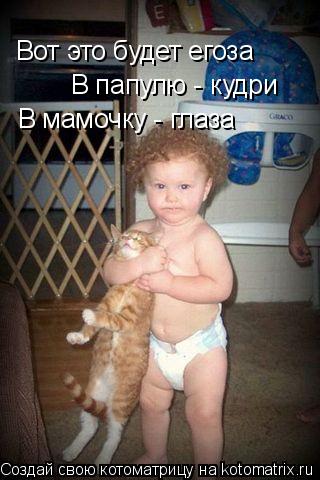 Котоматрица: Вот это будет егоза В папулю - кудри В мамочку - глаза