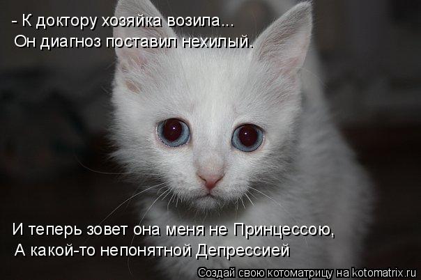 Котоматрица: - К доктору хозяйка возила... Он диагноз поставил нехилый. И теперь зовет она меня не Принцессою,  А какой-то непонятной Депрессией