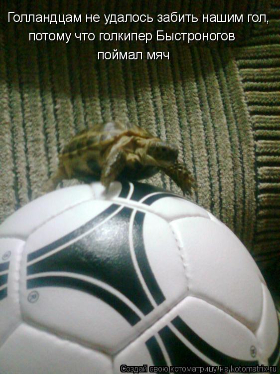 Котоматрица: Голландцам не удалось забить нашим гол, потому что голкипер Быстроногов поймал мяч
