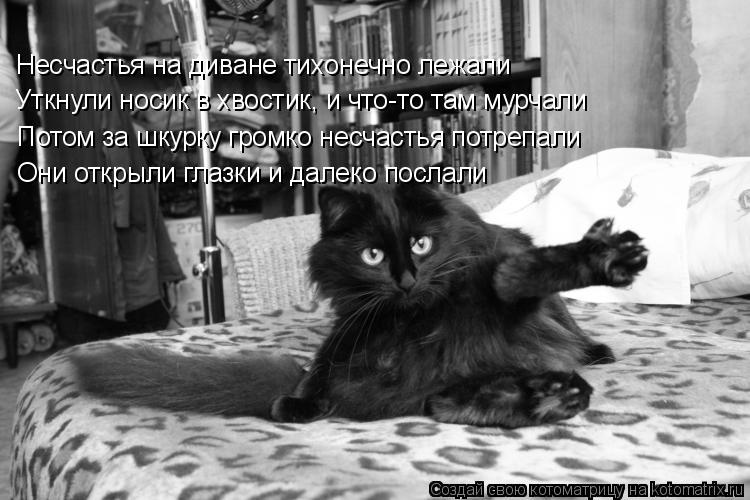 Котоматрица: Несчастья на диване тихонечно лежали Уткнули носик в хвостик, и что-то там мурчали Потом за шкурку громко несчастья потрепали Они открыли г
