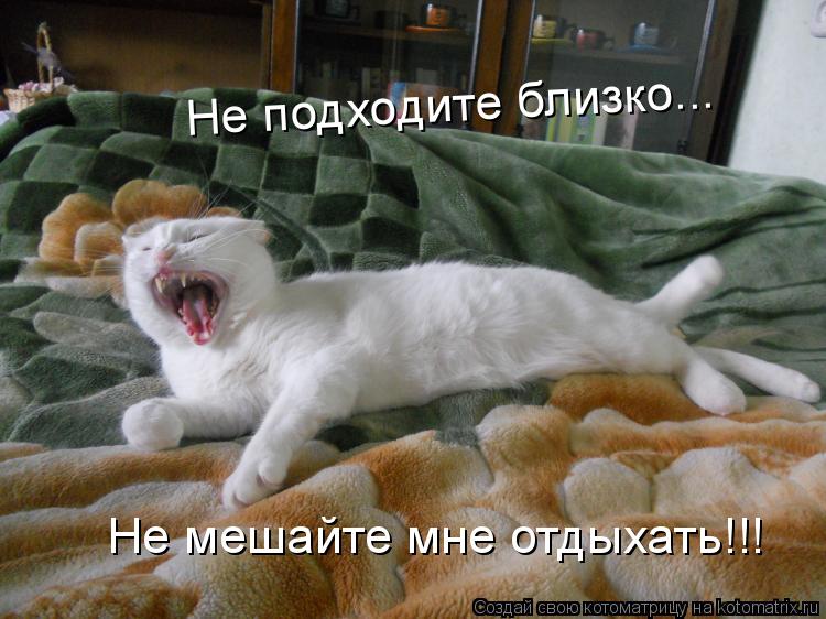 Котоматрица: Не подходите близко... Не мешайте мне отдыхать!!!