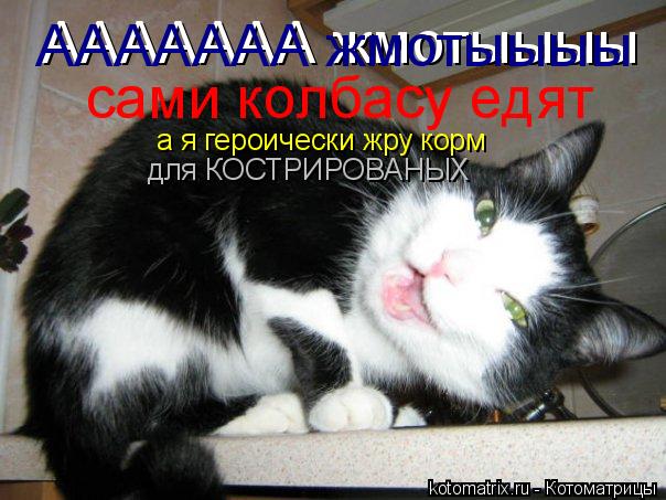 Котоматрица: ААААААА жмотыыыы ААААААА жмотыыыы сами колбасу едят а я героически жру корм для КОСТРИРОВАНЫХ