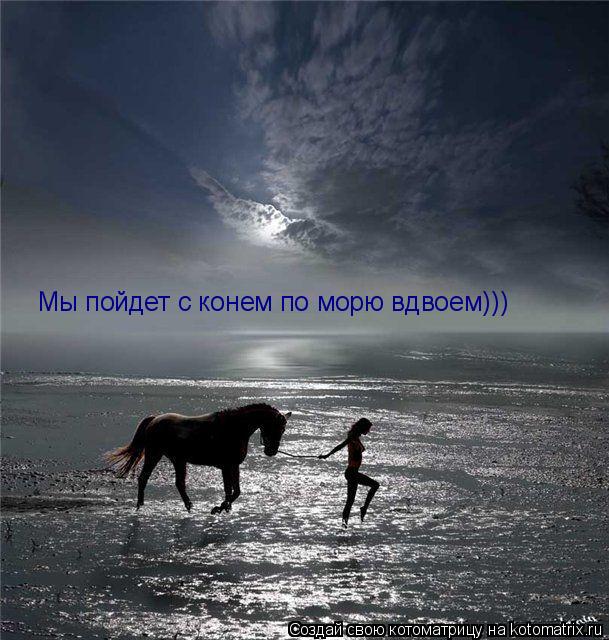 Котоматрица: Мы пойдет с конем по морю вдвоем)))