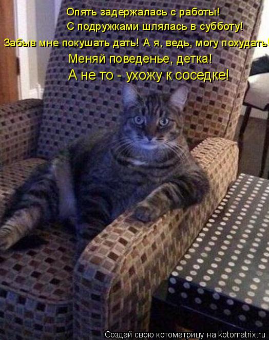 Котоматрица: Опять задержалась с работы!  С подружками шлялась в субботу! Забыв мне покушать дать! А я, ведь, могу похудать! Меняй поведенье, детка! А не то 