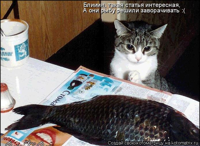 Котоматрица: Блииин, такая статья интересная, А они рыбу решили заворачивать :(