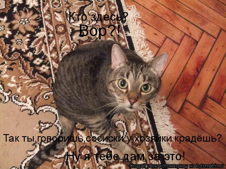 Котоматрица: Кто здесь? Вор?! Так ты,говоришь,сосиски у хозяйки крадёшь? Ну я тебе дам за это!