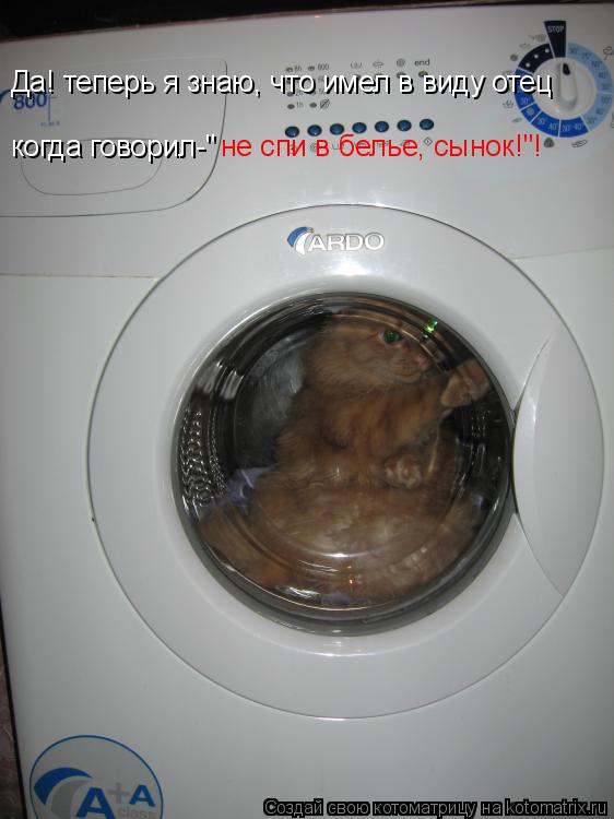 Котоматрица: Да! теперь я знаю, что имел в виду отец когда говорил-" не спи в белье, сынок!"!