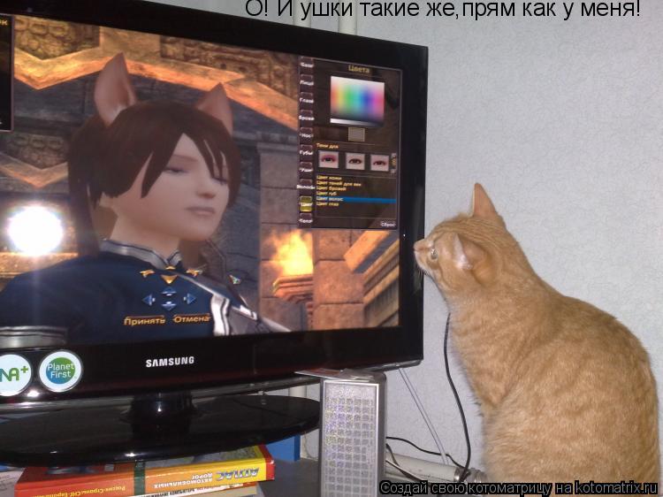 Котоматрица: О! И ушки такие же,прям как у меня!