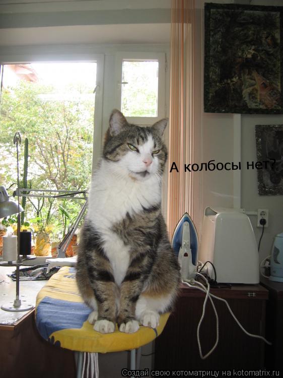 Котоматрица: А колбосы нет?