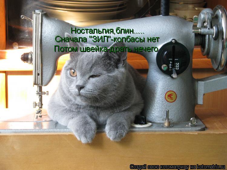 Котоматрица: Ностальгия,блин..... Ностальгия,блин..... Сначала "ЗИЛ"-колбасы нет Потом швейка-драть нечего