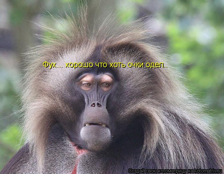 Котоматрица: Фух... хорошо что хоть очки одел..