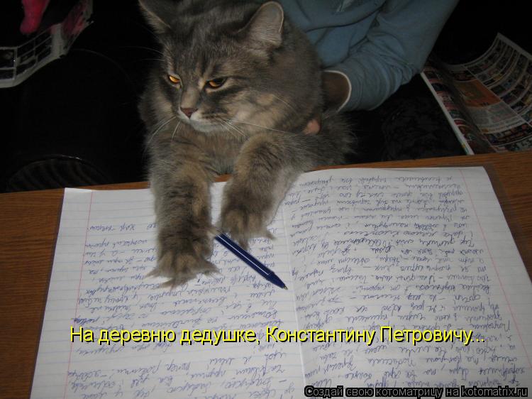 Котоматрица: На деревню дедушке, Константину Петровичу...