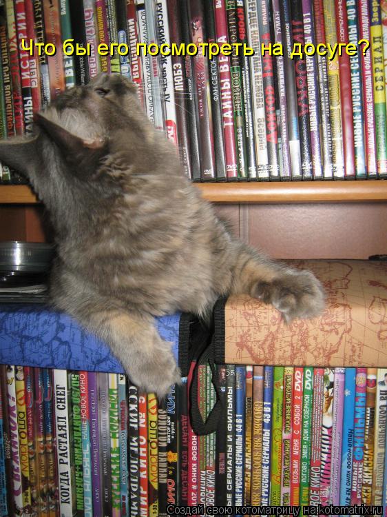Котоматрица: Что бы его посмотреть на досуге?