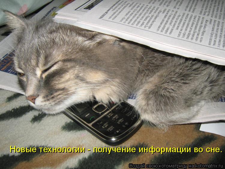 Котоматрица: Новые технологии - получение информации во сне.