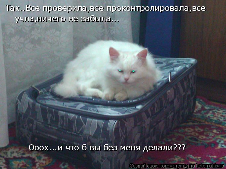 Котоматрица: Так..Все проверила,все проконтролировала,все  учла,ничего не забыла... Ооох...и что б вы без меня делали???