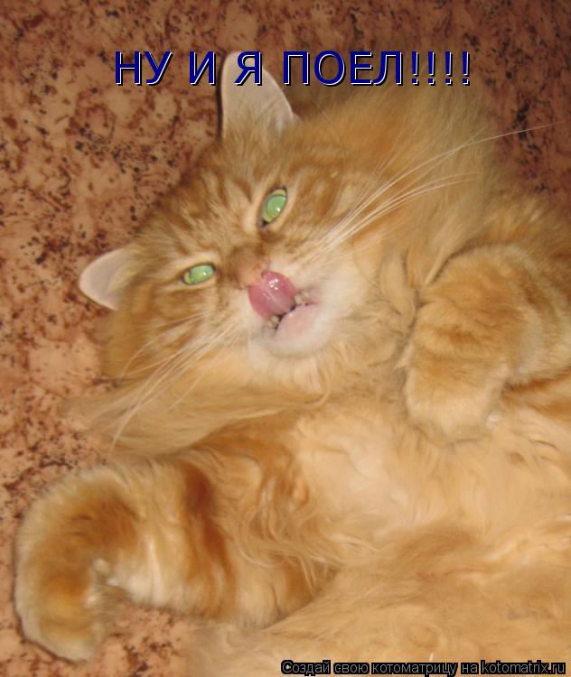 Котоматрица: НУ И Я ПОЕЛ!!!! НУ И Я ПОЕЛ!!!!