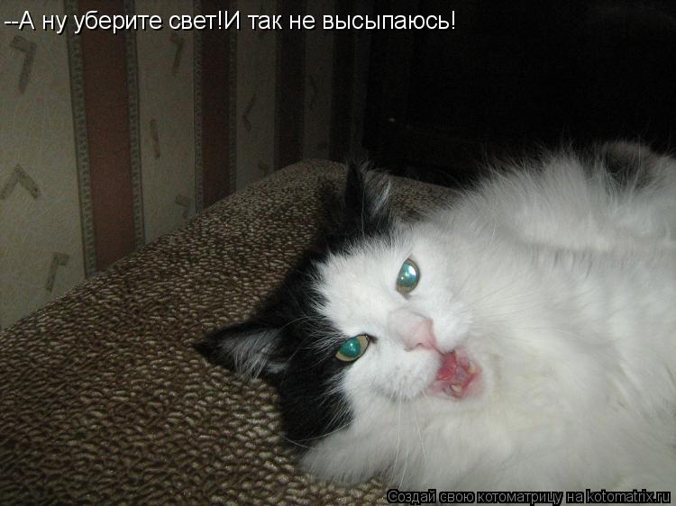Котоматрица: --А ну уберите свет!И так не высыпаюсь!