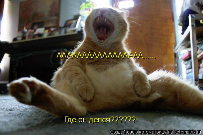 Котоматрица: Где он делся?????? ААААААААААААААААА......