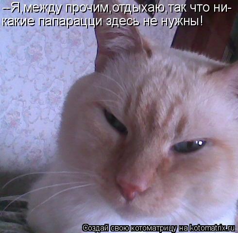 Котоматрица: --Я,между прочим,отдыхаю,так что ни- какие папарацци здесь не нужны!