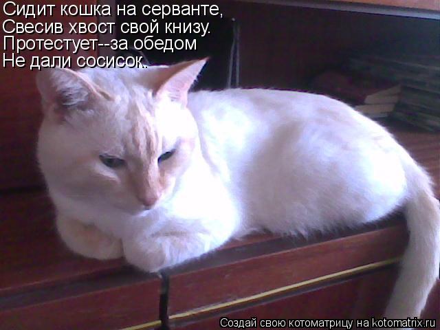Сидит кошка на серванте, Свесив хвост свой книзу. Протестует--за обедом Не дали сосисок.... Котоматрица: Сидит кошка на серванте, Свесив хвост свой книзу. Протестует--за обедом Не дали сосисок.