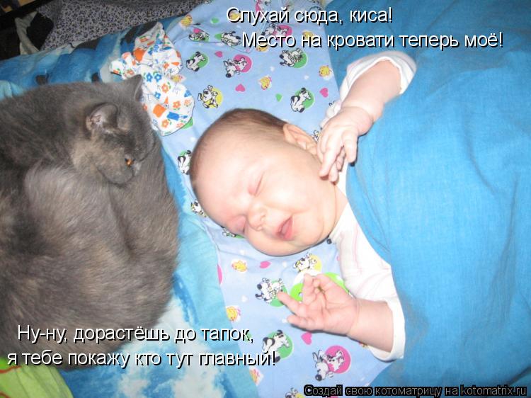 Место на кровати теперь моё! Слухай сюда, киса! Ну-ну, дорастёшь до тапок, я тебе покажу кто тут гла... Котоматрица: Место на кровати теперь моё! Слухай сюда, киса! Ну-ну, дорастёшь до тапок, я тебе покажу кто тут главный!