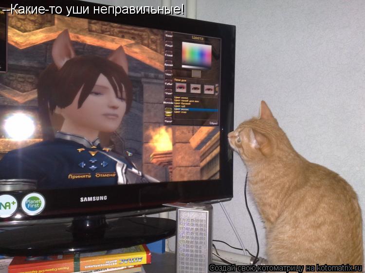--Какие-то уши неправильные!... Котоматрица: --Какие-то уши неправильные!