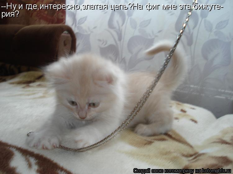 --Ну и где,интересно,златая цепь?На фиг мне эта бижуте- рия?... Котоматрица: --Ну и где,интересно,златая цепь?На фиг мне эта бижуте- рия?