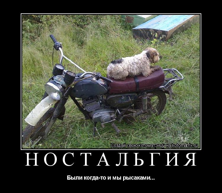 Были И Мы Рысаками