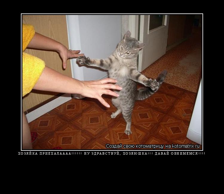 Котоматрица: Хозяйка приехалаааа!!!!!! Ну здравствуй, хозяюшка!!! Давай обнимемся!!!! 