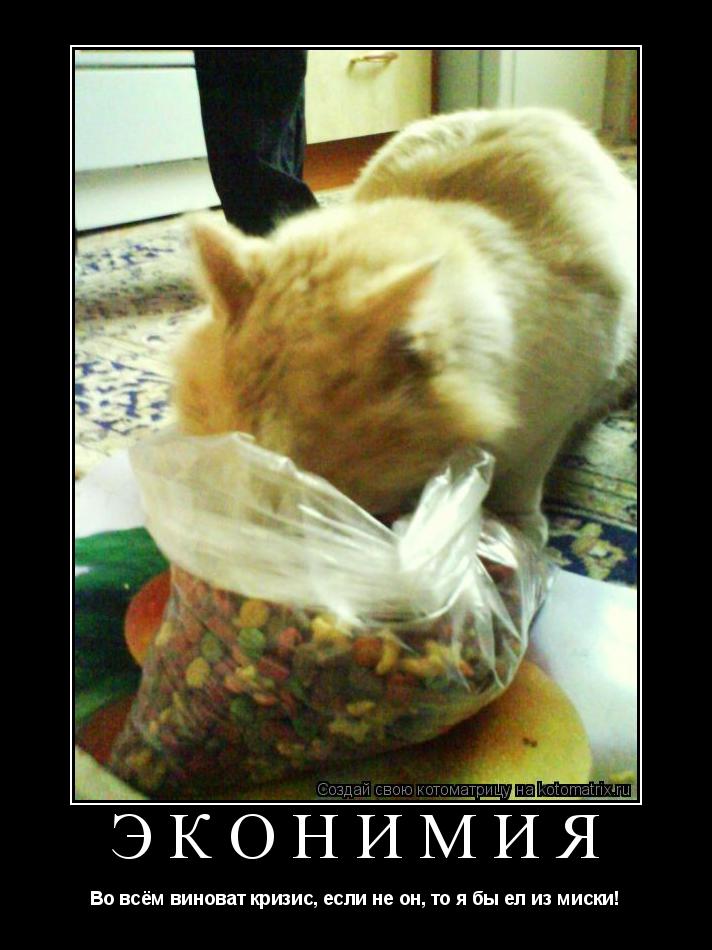 Котоматрица: ЭКОНИМИЯ Во всём виноват кризис, если не он, то я бы ел из миски!