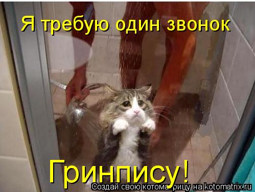 Я требую один звонок Гринпису!... Котоматрица: Я требую один звонок Гринпису!