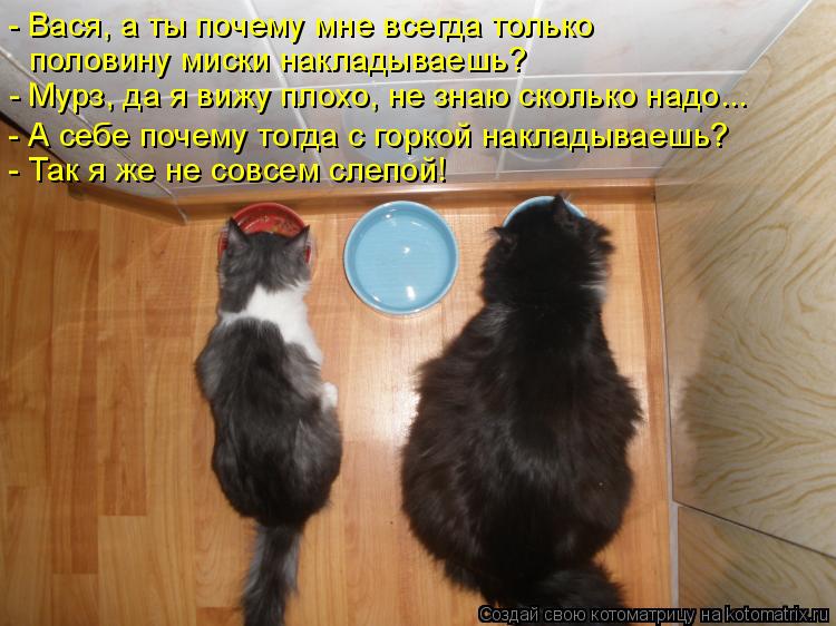 Котоматрица: - Вася, а ты почему мне всегда только половину миски накладываешь? - Мурз, да я вижу плохо, не знаю сколько надо... - А себе почему тогда с горкой