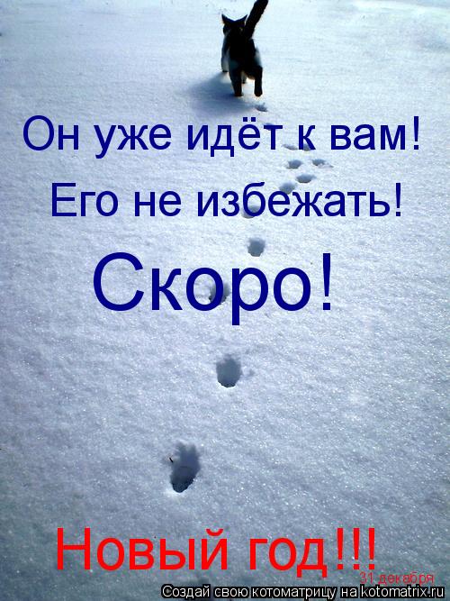 Он уже идёт к вам! Его не избежать! Скоро! Новый год!!! 31 декабря... Котоматрица: Он уже идёт к вам! Его не избежать! Скоро! Новый год!!! 31 декабря
