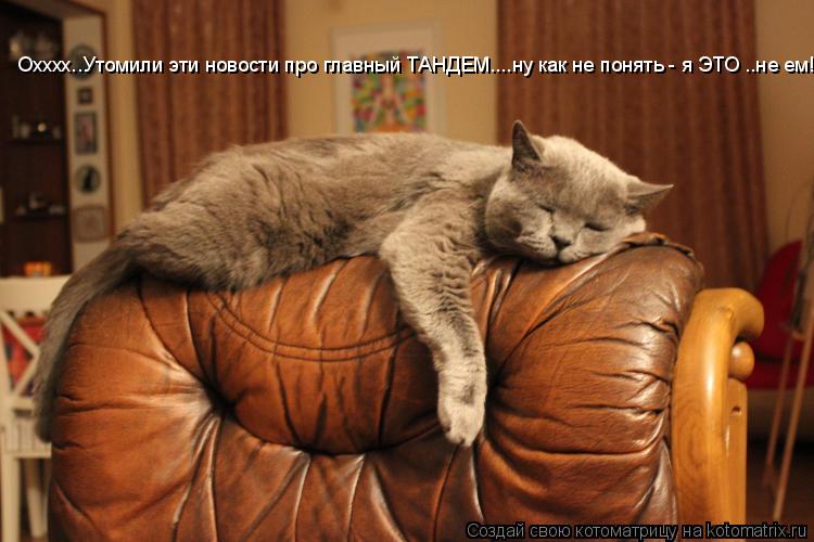 Котоматрица: Охххх..Утомили эти новости про главный ТАНДЕМ....ну как не понять - я ЭТО ..не ем!!