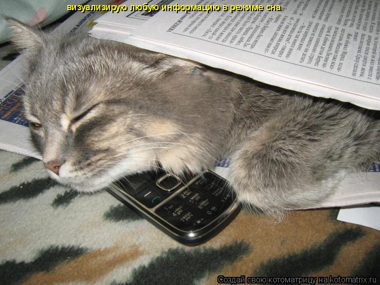 Котоматрица: визуализирую любую информацию в режиме сна