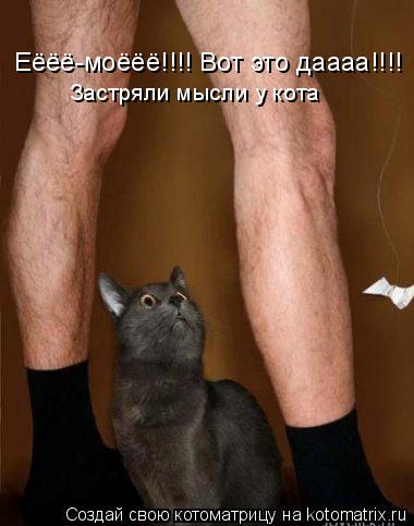 Котоматрица: Еёёё-моёёё!!!! Вот это даааа!!!! Застряли мысли у кота