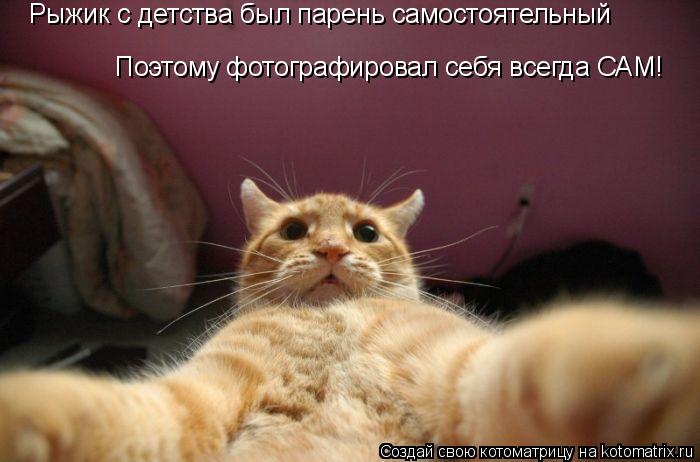 Рыжик с детства был парень самостоятельный Поэтому фотографировал себя всегда САМ!... Котоматрица: Рыжик с детства был парень самостоятельный Поэтому фотографировал себя всегда САМ!
