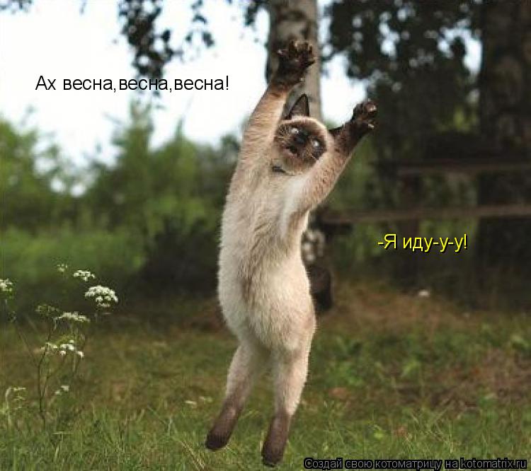 Котоматрица: Ах весна,весна,весна! -Я иду-у-у!