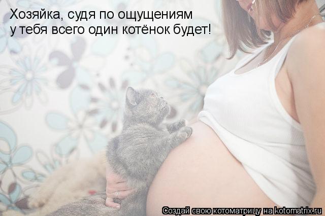 Котоматрица: Хозяйка, судя по ощущениям у тебя всего один котёнок будет!