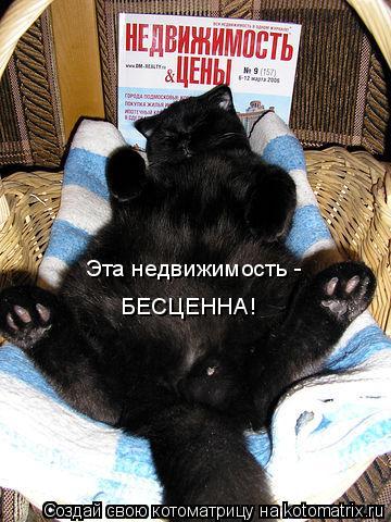 Котоматрица: Эта недвижимость - БЕСЦЕННА!