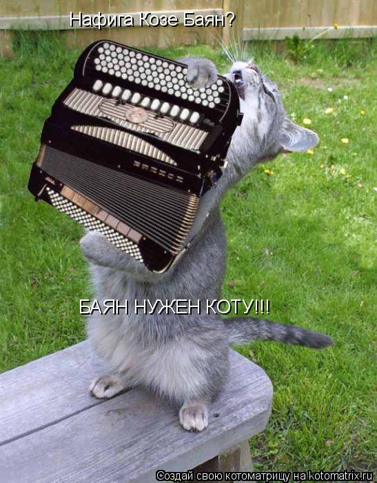 Котоматрица: Нафига Козе Баян? БАЯН НУЖЕН КОТУ!!!