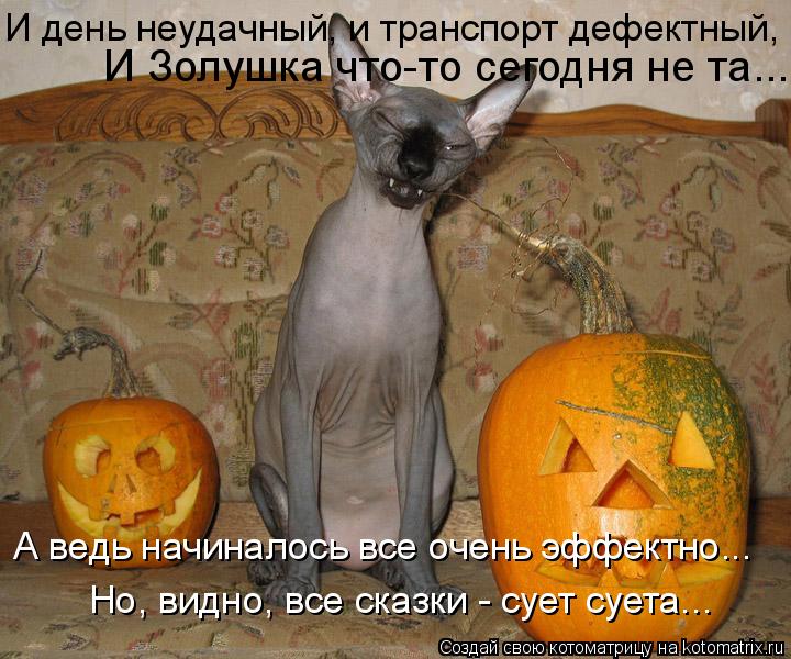 Котоматрица: И Золушка что-то сегодня не та... И день неудачный, и транспорт дефектный,  А ведь начиналось все очень эффектно... Но, видно, все сказки - сует с