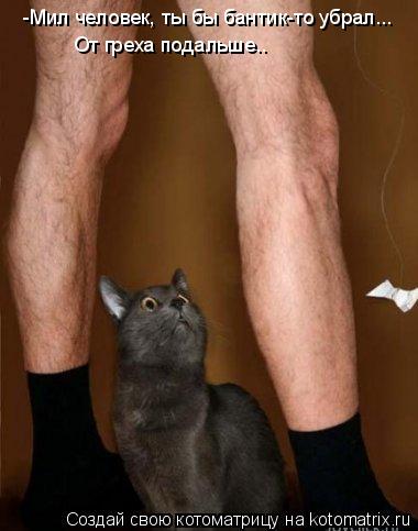 Котоматрица: -Мил человек, ты бы бантик-то убрал...  От греха подальше..