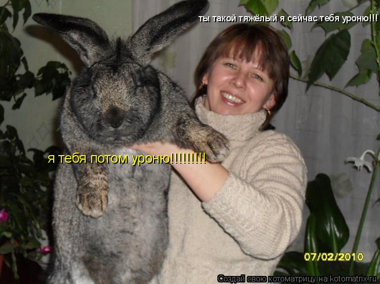 Котоматрица: ты такой тяжёлый я сейчас тебя уроню!!! я тебя потом уроню!!!!!!!!!